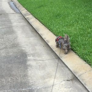 Meet your Posher, Christian